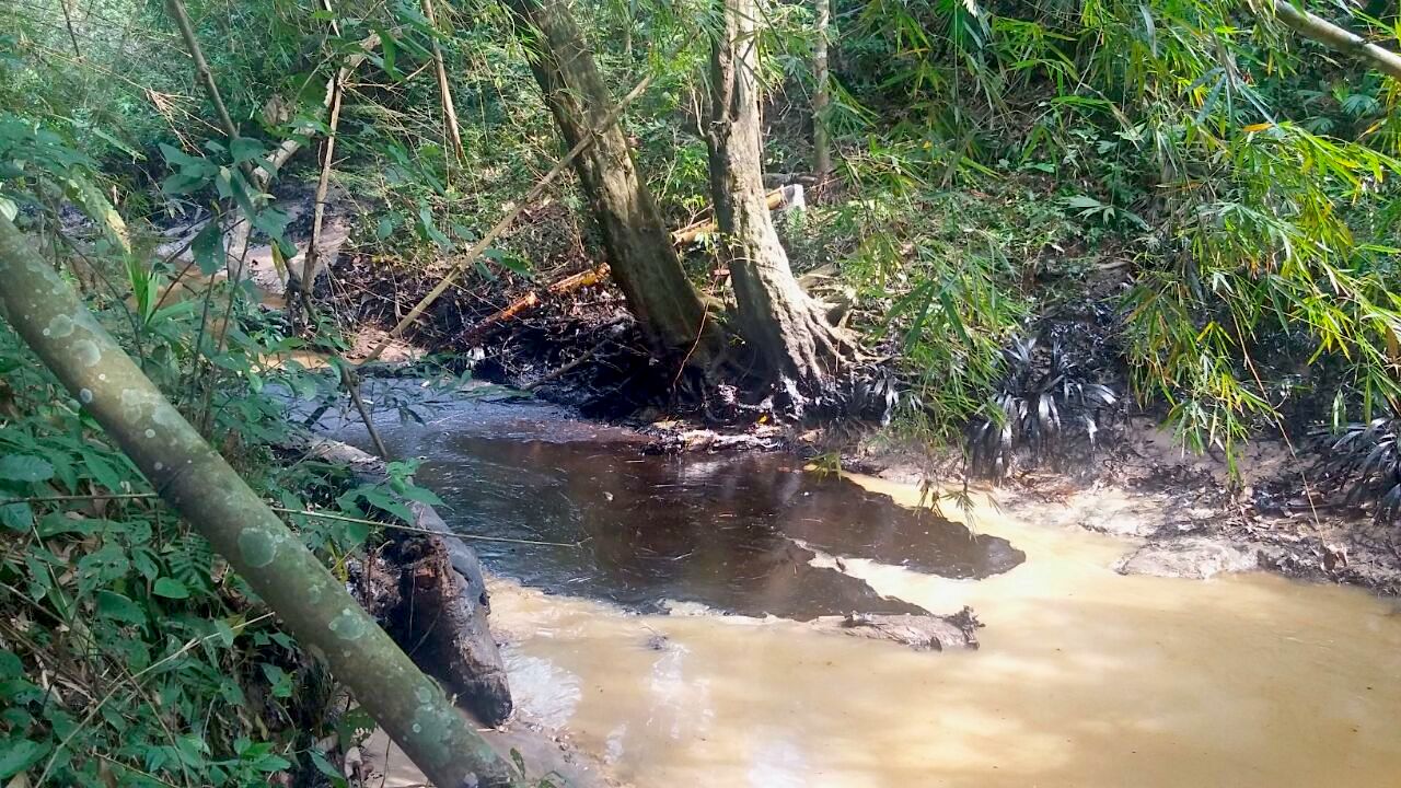 8 tipos de contaminaci n del agua