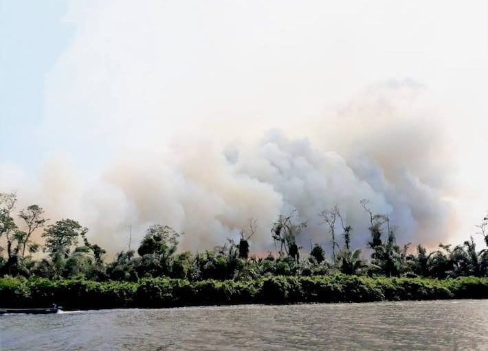 Humareda de los incendios en la reserva. Foto: Cortesía Salvemos la Reserva Indio Maíz.