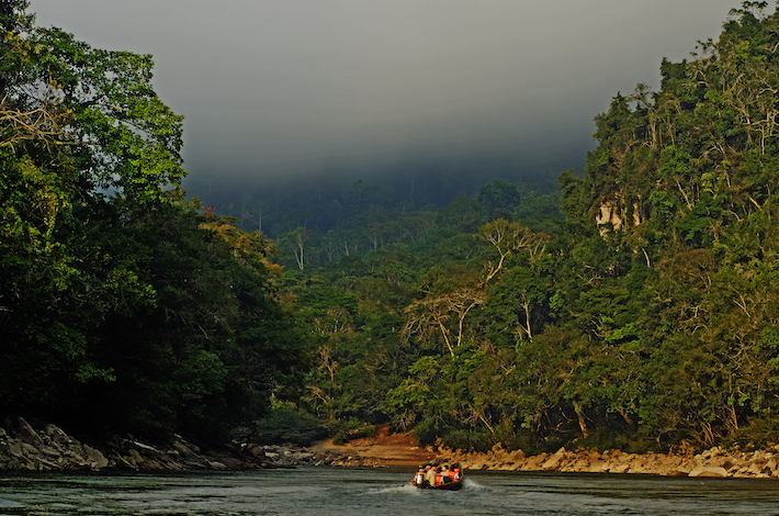 Dentro del Parque Nacional Río Abiseo se puede realizar turismo de aventura como cultural, ya que aloja en su territorio al Gran Pajatén. Crédito: Sernanp.