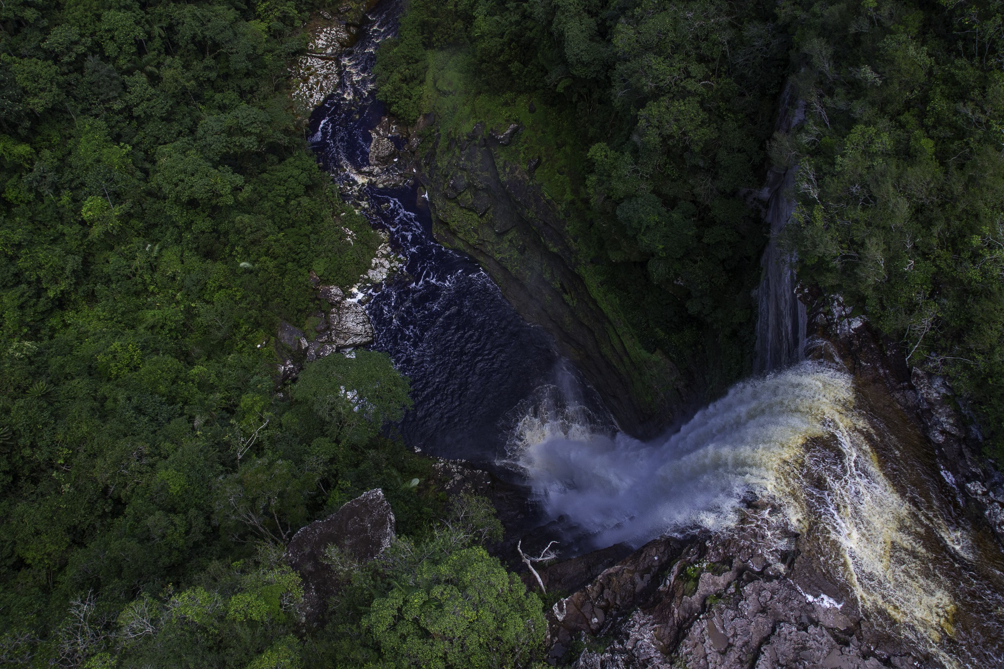 Chiribiquete provee el 60 % del agua superficial de toda la Amazonia colombiana. Foto: Parques Nacionales