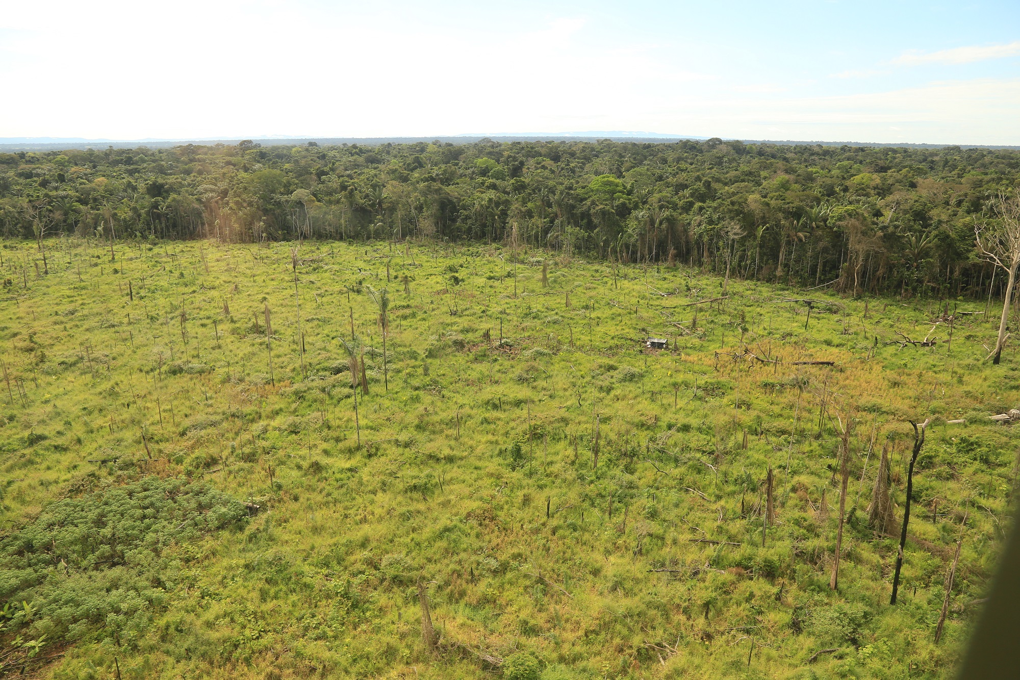 Así lucen enormes terrenos dentro del Parque Nacional Tinigua en el departamento del Meta. Foto: Cormacarena.