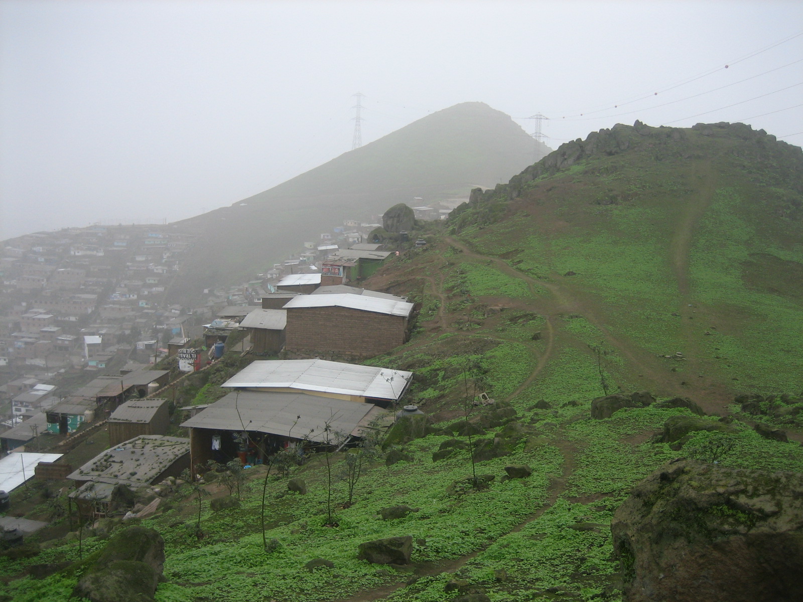 Precarias viviendas se construyen en las laderas de la Lomas de Amancaes. Foto: Cecilia Jananpa. PAFLA