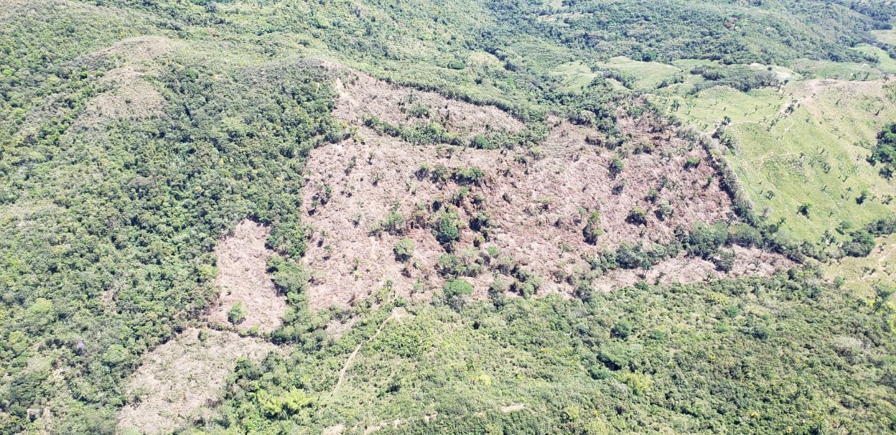 En un sobrevuelo Cortolima evidenciÃ³ la deforestaciÃ³n de mÃ¡s de 30 hectÃ¡reas en el bosque de Galilea. Foto: Cortolima.