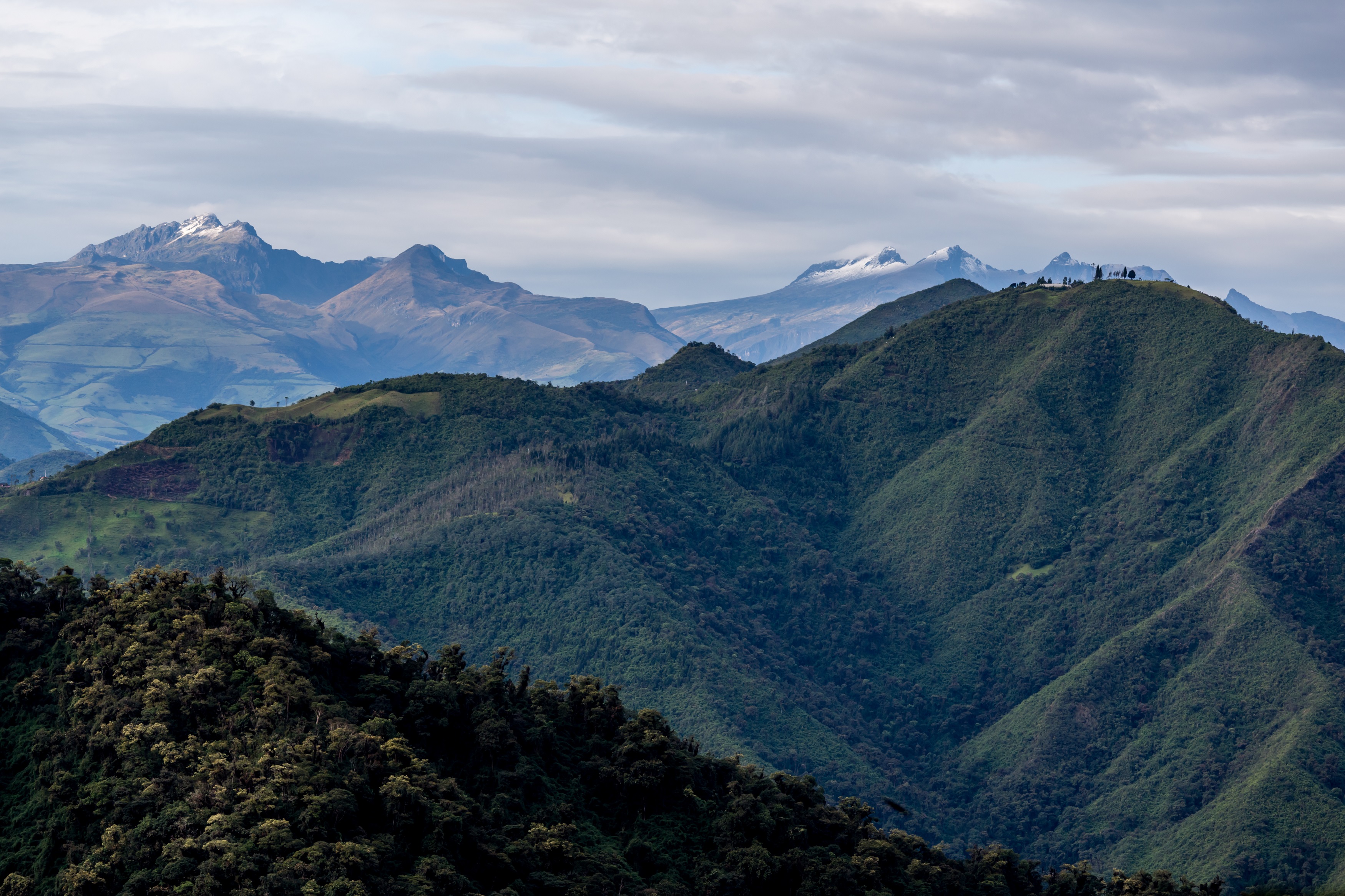 En la nueva Reserva de la Biósfera se encuentran ecosistemas como el páramo, a 4700 metros sobre el nivel del mar, que almacenan grandes cantidades de carbono en el suelo y esto contribuye, en gran medida, a mitigar el cambio climático. Foto: Sebastián Crespo - CONDESAN.