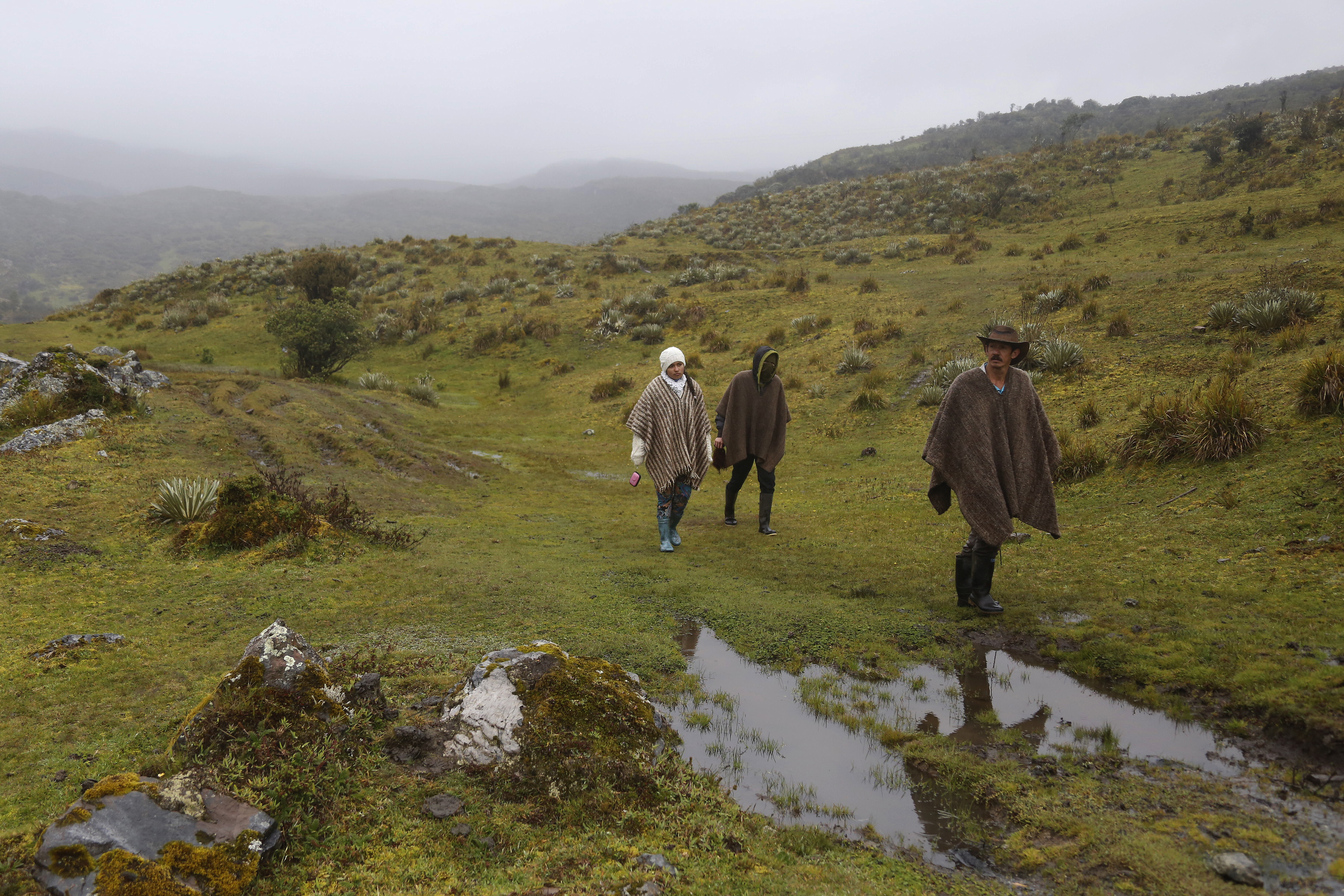 Miles de campesinos en el páramo de Pisba se dedican a actividades agropecuarias de las que basan su sustento. Foto: Gobernación de Boyacá.