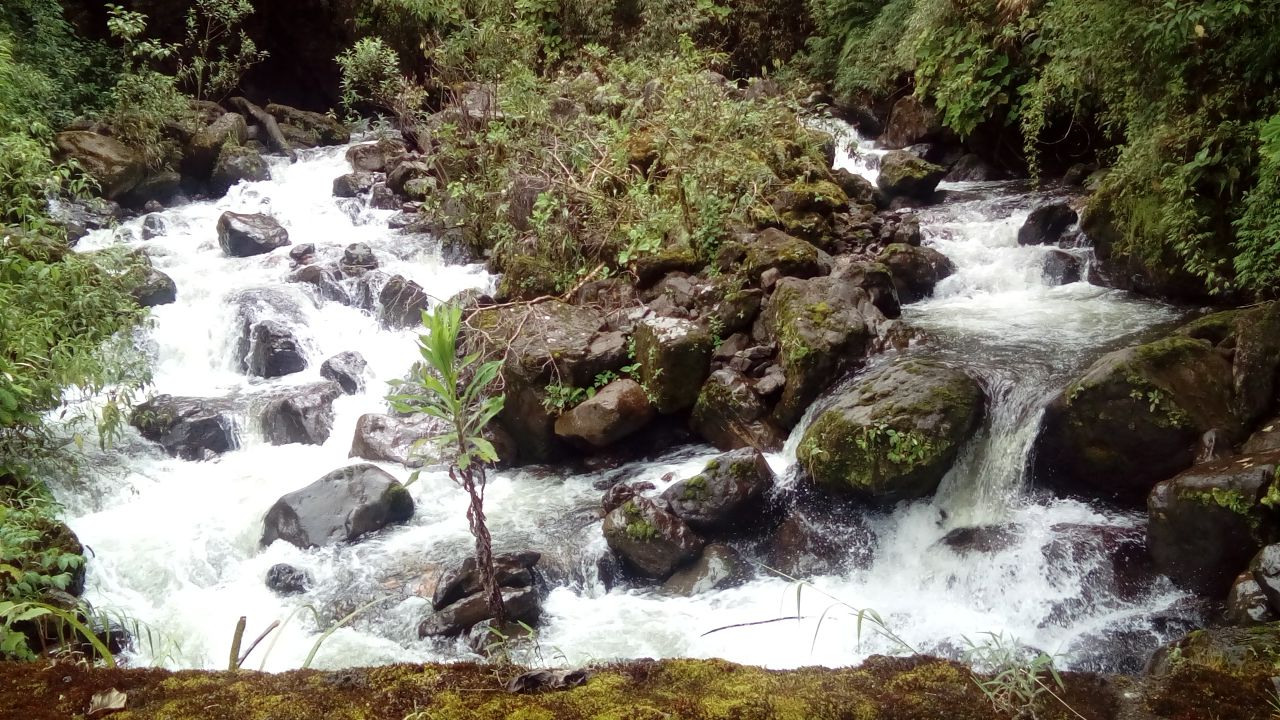 Colombia cuenta con el 50% de los ecosistemas de páramo en el mundo. Foto: Corpoboyacá.