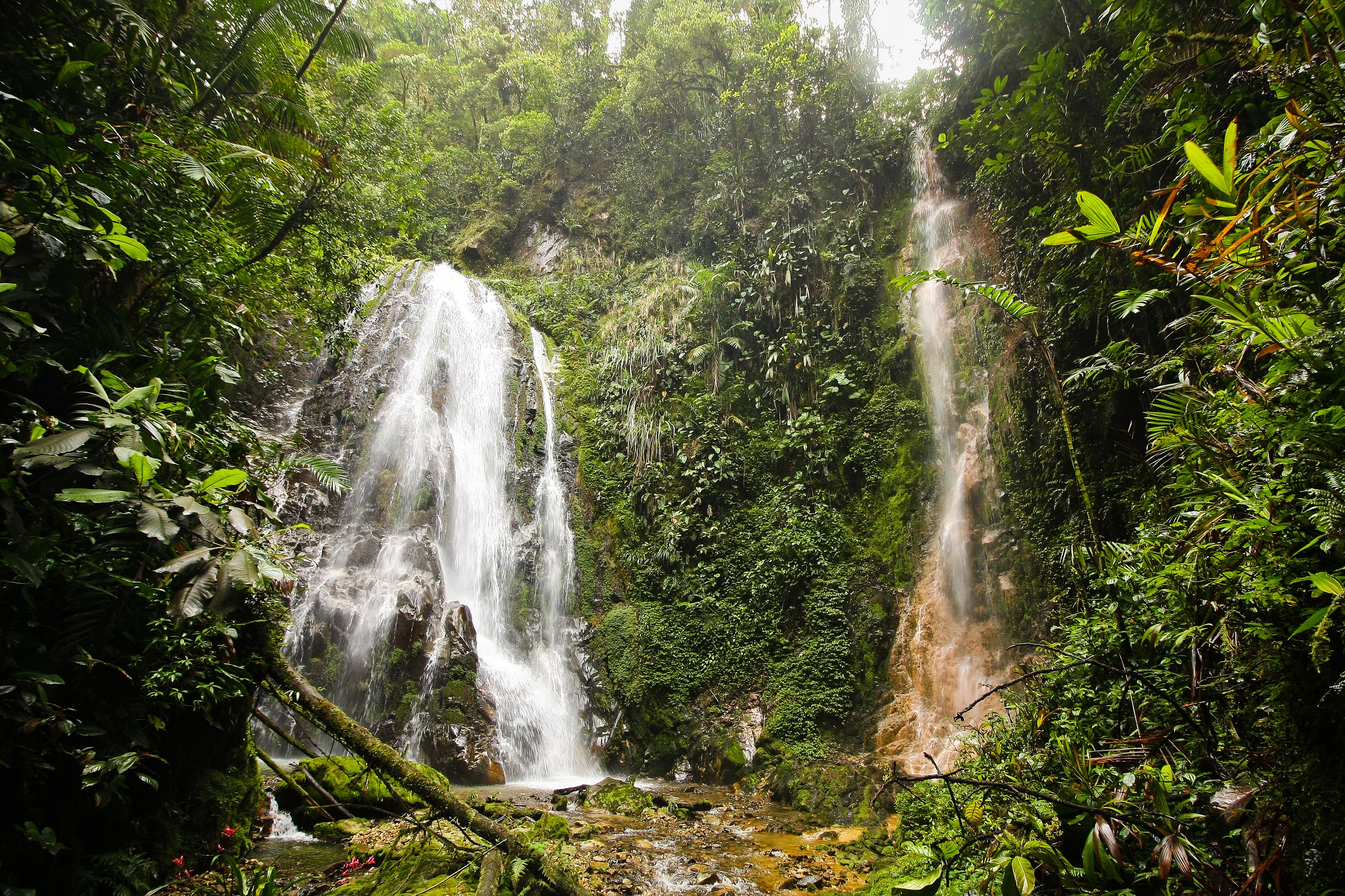 El impacto negativo sobre una de las cascadas gemelas es evidente a simple vista. Foto: Mandy Wong.