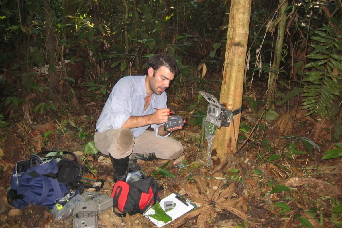 En entrevista con Mongabay Latam, el científico colombiano Esteban Payán habla sobre sus maestros, los pioneros en la investigación con felinos grandes. Foto: Esteban Payán