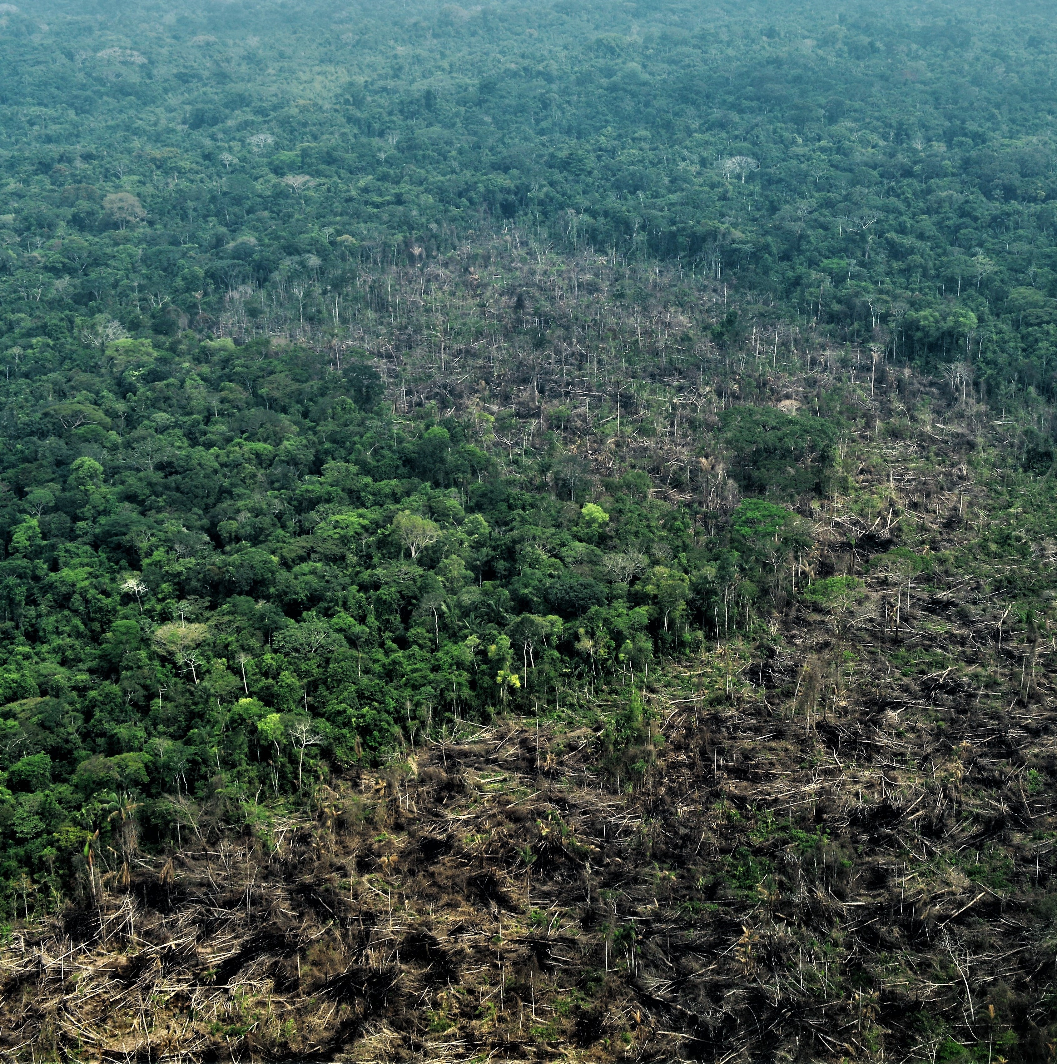 Sobrevuelo en el Parque Nacional Chiribiquete. Foto: Fundación para la Conservación y el Desarrollo Sostenible (FCDS).