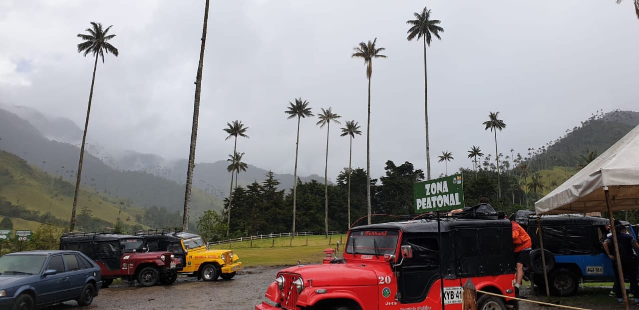 El Valle de Cocora en Salento, Quindío, es uno de los lugares más visitados de Colombia. Foto: Andrea Correa.