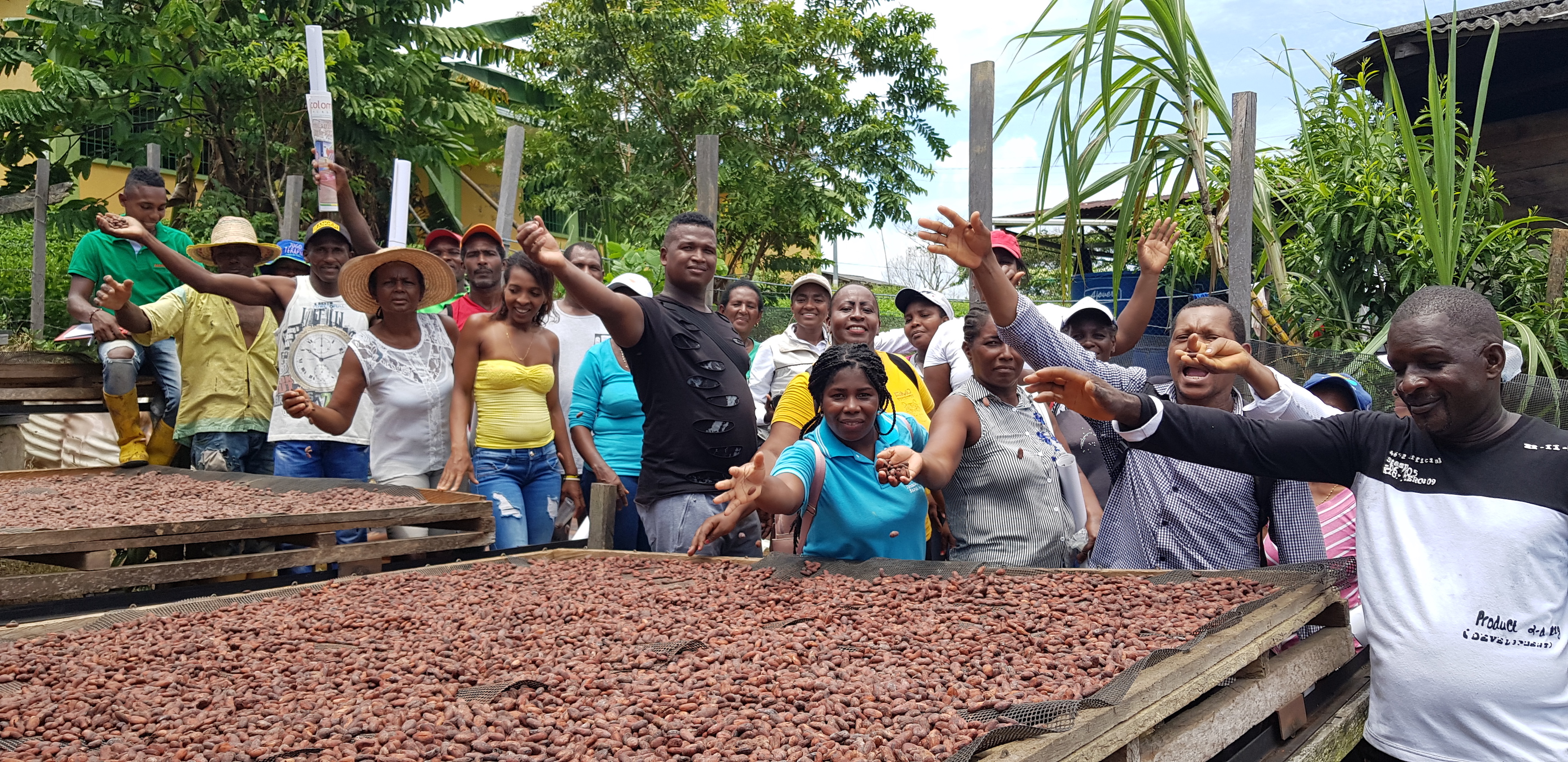 Productores de cacao en Tumaco, Nariño, Colombia. Foto:Fedecacao.
