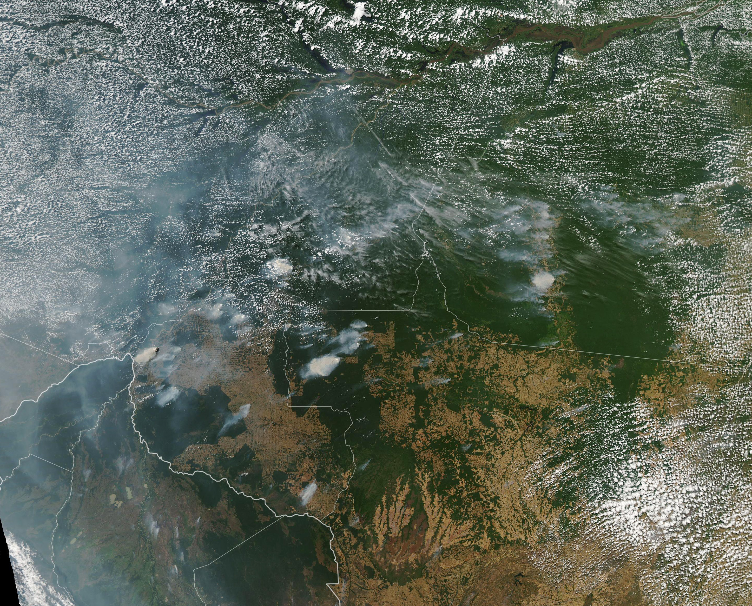 Incendios en la Amazonía de Brasil. Así luce la Amazonía desde el espacio. La contaminación cubre el cielo. Foto: NASA Earth Observatory images by Lauren Dauphin, using MODIS data from NASA EOSDIS/LANCE and GIBS/Worldview and VIIRS data from NASA EOSDIS/LANCE and GIBS/Worldview, and the Suomi National Polar-orbiting Partnership. Caption by Adam Voiland.