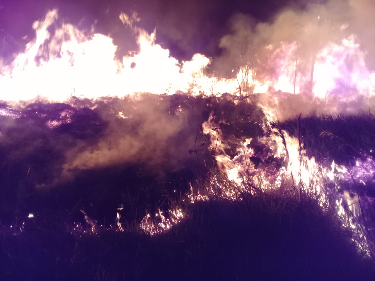 incendios bolivia chiquitania