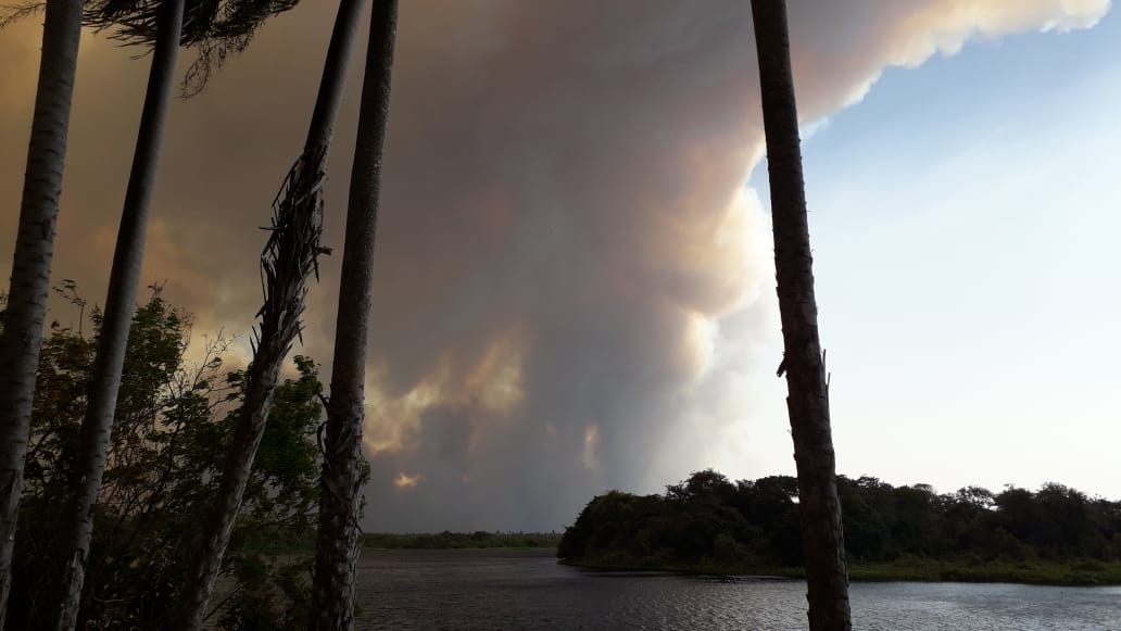 El incendio afecta el 70% de las 15 000 hectáreas de la reserva biológica Tres Gigantes, una de las pocas dedicadas a la conservación de la biodiversidad en Paraguay. Foto: Guyrá Paraguay