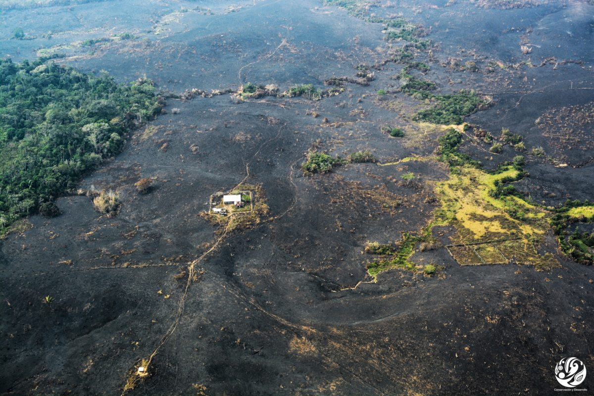 Deforestación parque Tinigua. Así se ve la Amazonía colombiana luego de que se le prende fuego a lo deforestado. Foto: Fundación para la Conservación y el Desarrollo Sostenible (FCDS).