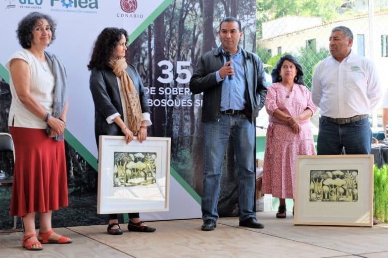 Leticia Merino-Manejo forestal comunitario