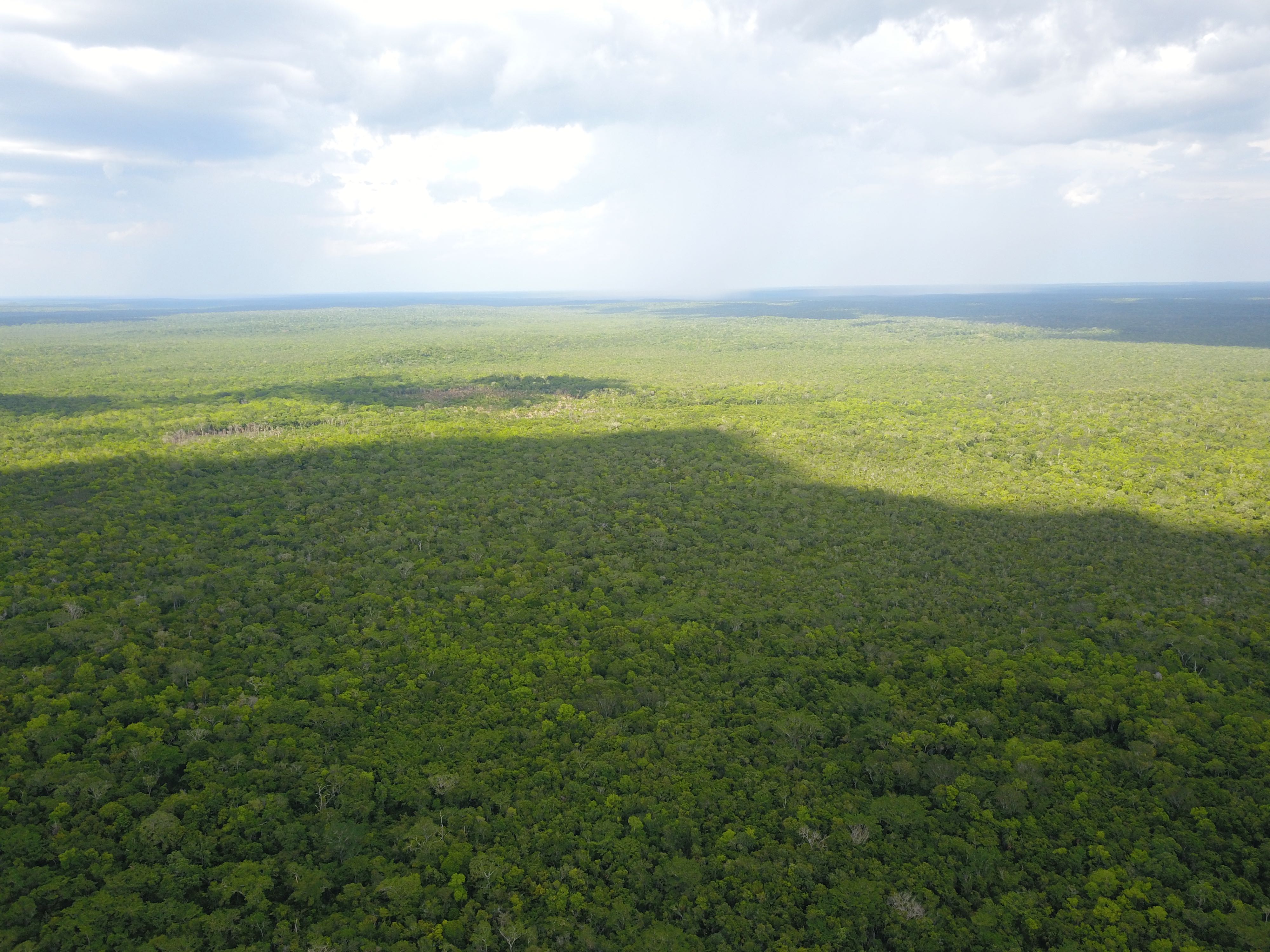 Reserva de la Biósfera Maya