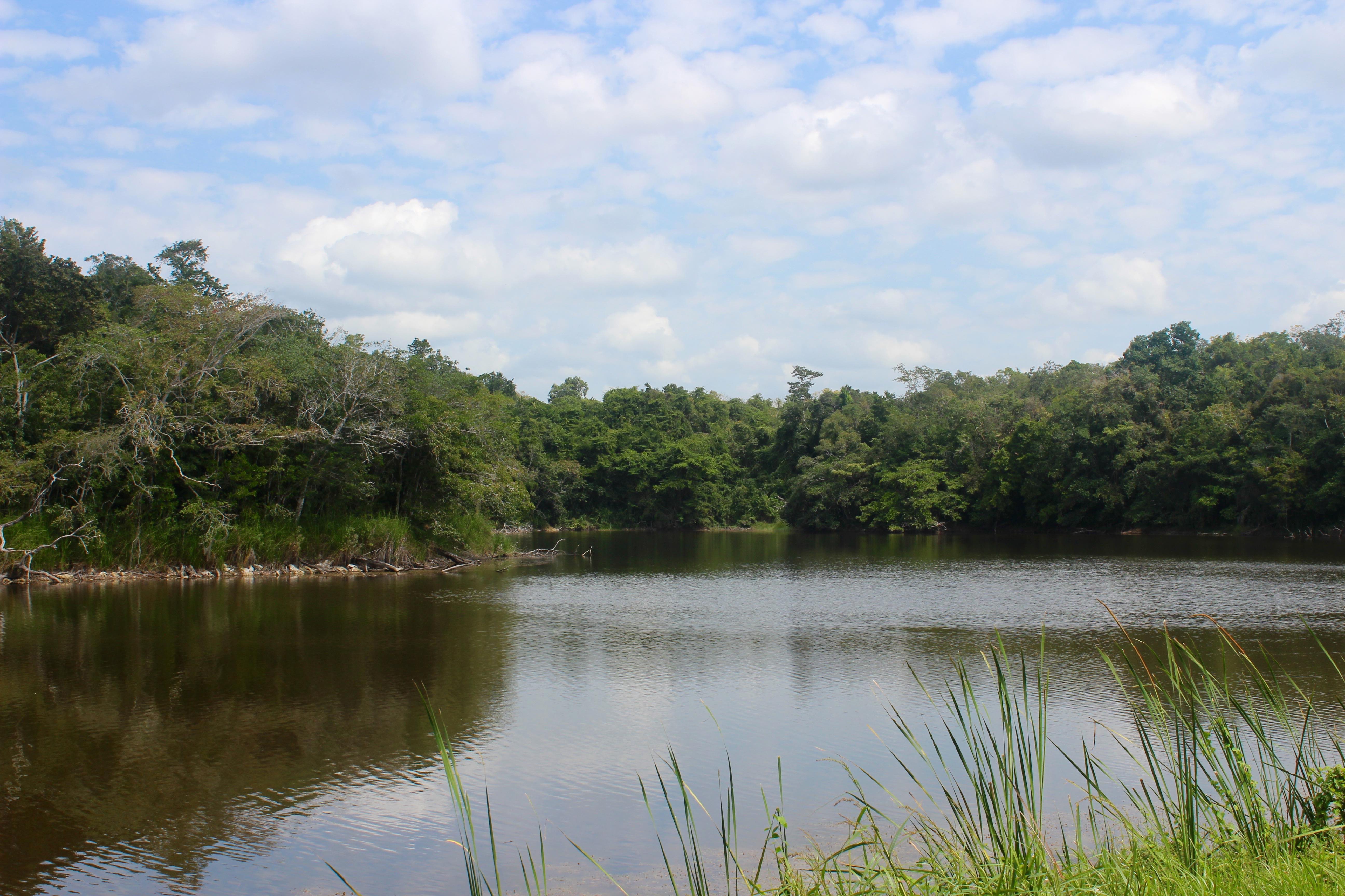 Laguna de Chakanbakán, Ejido Laguna OM