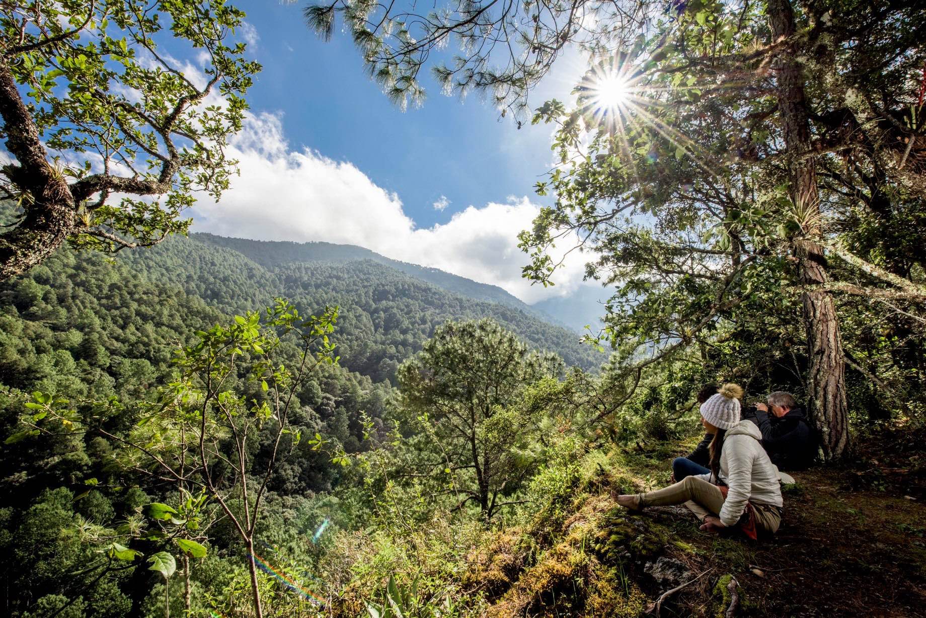 Ecoturísmo en bosques comunitarios