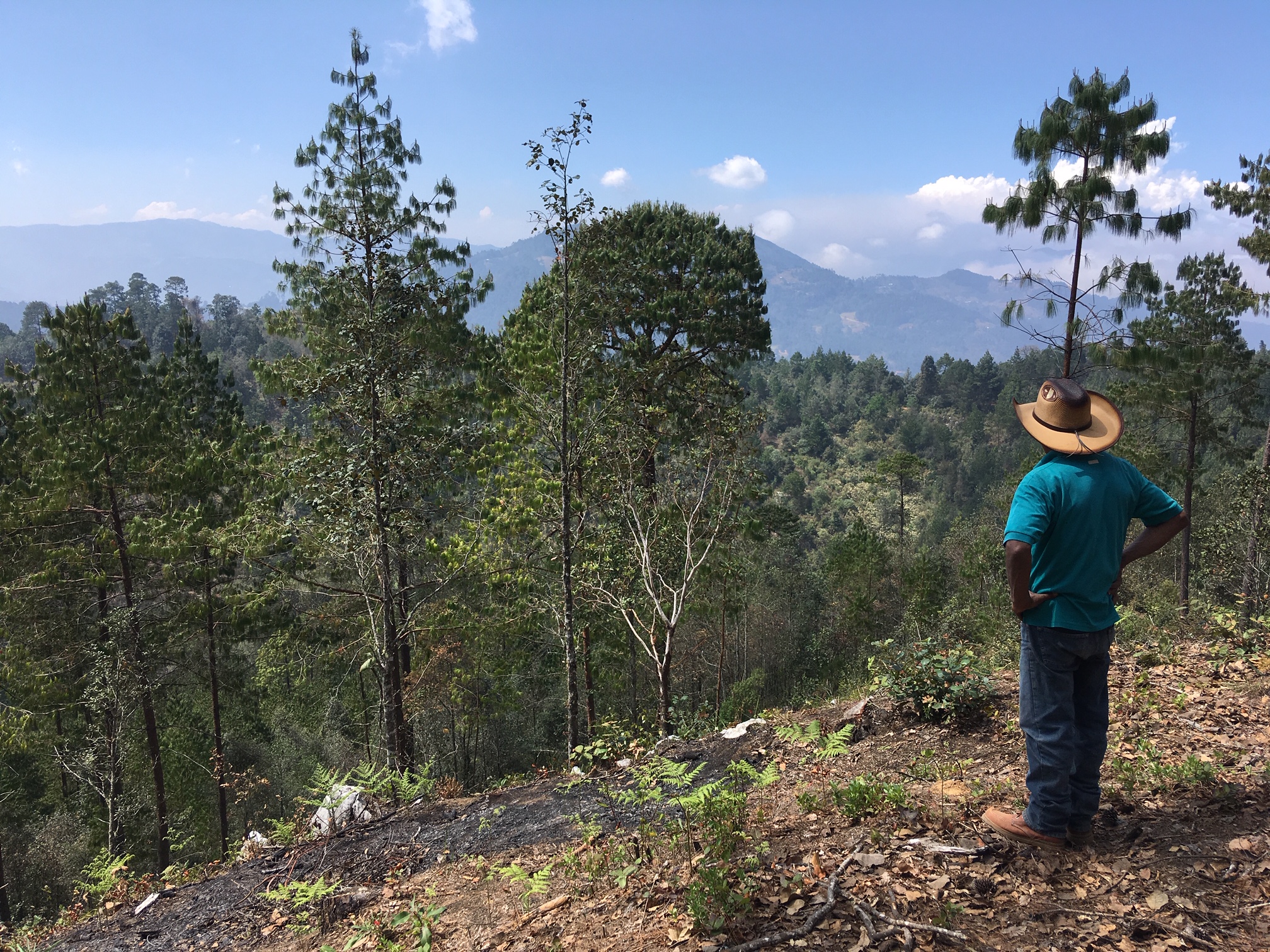 Sierra de Zongolica, Veracruz