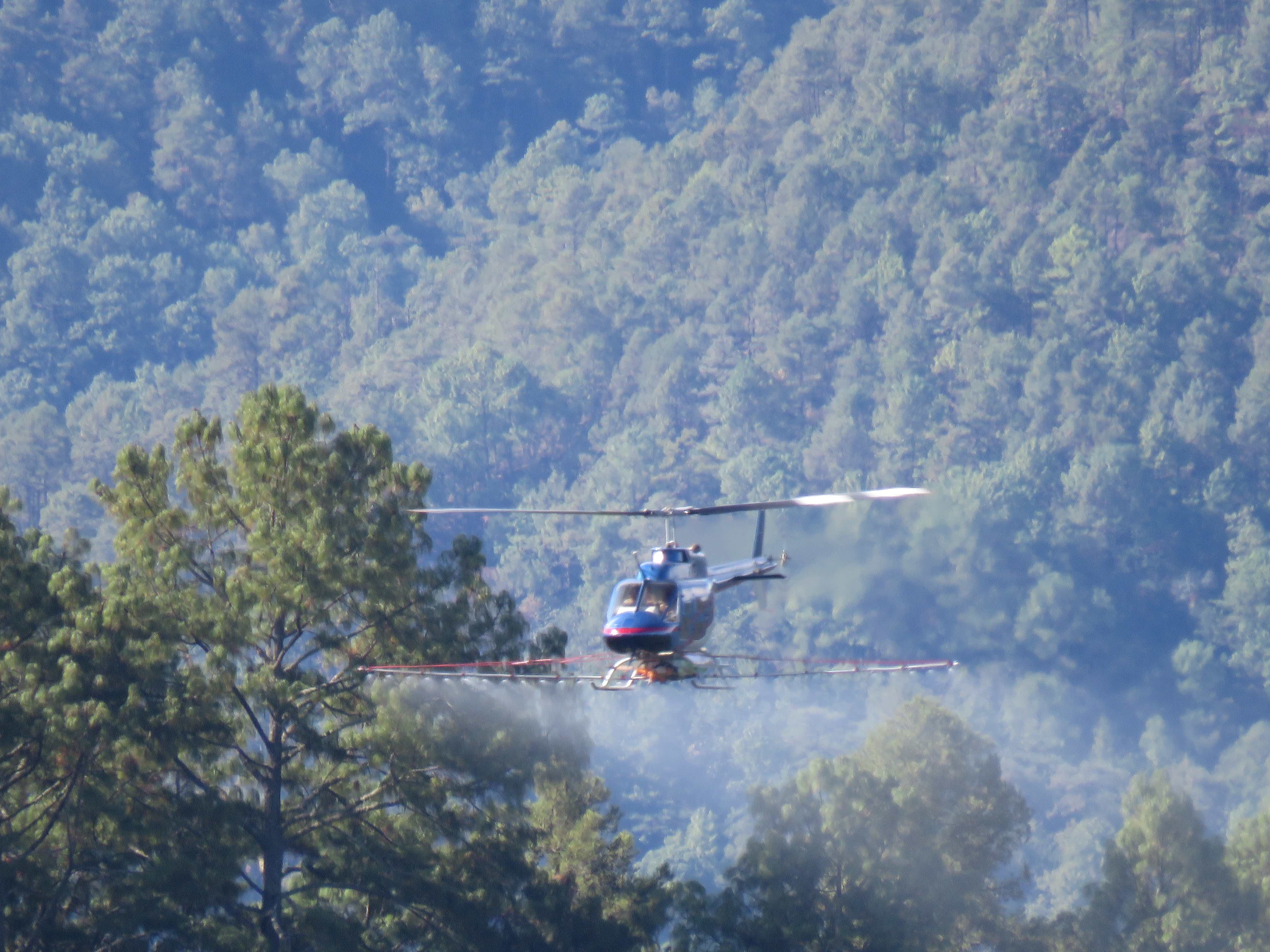 Combate de plagas en bosques