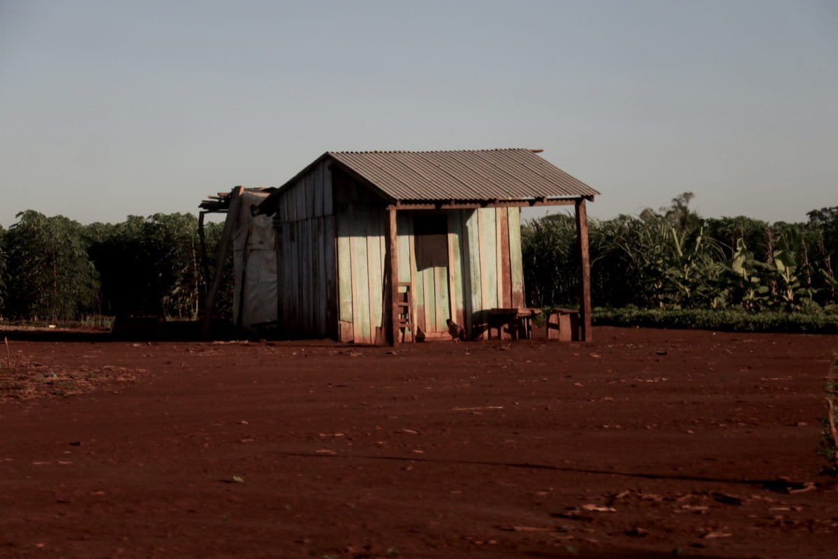 No choice: Why communities in Paraguay are cutting down forests to survive - Mongabay.com