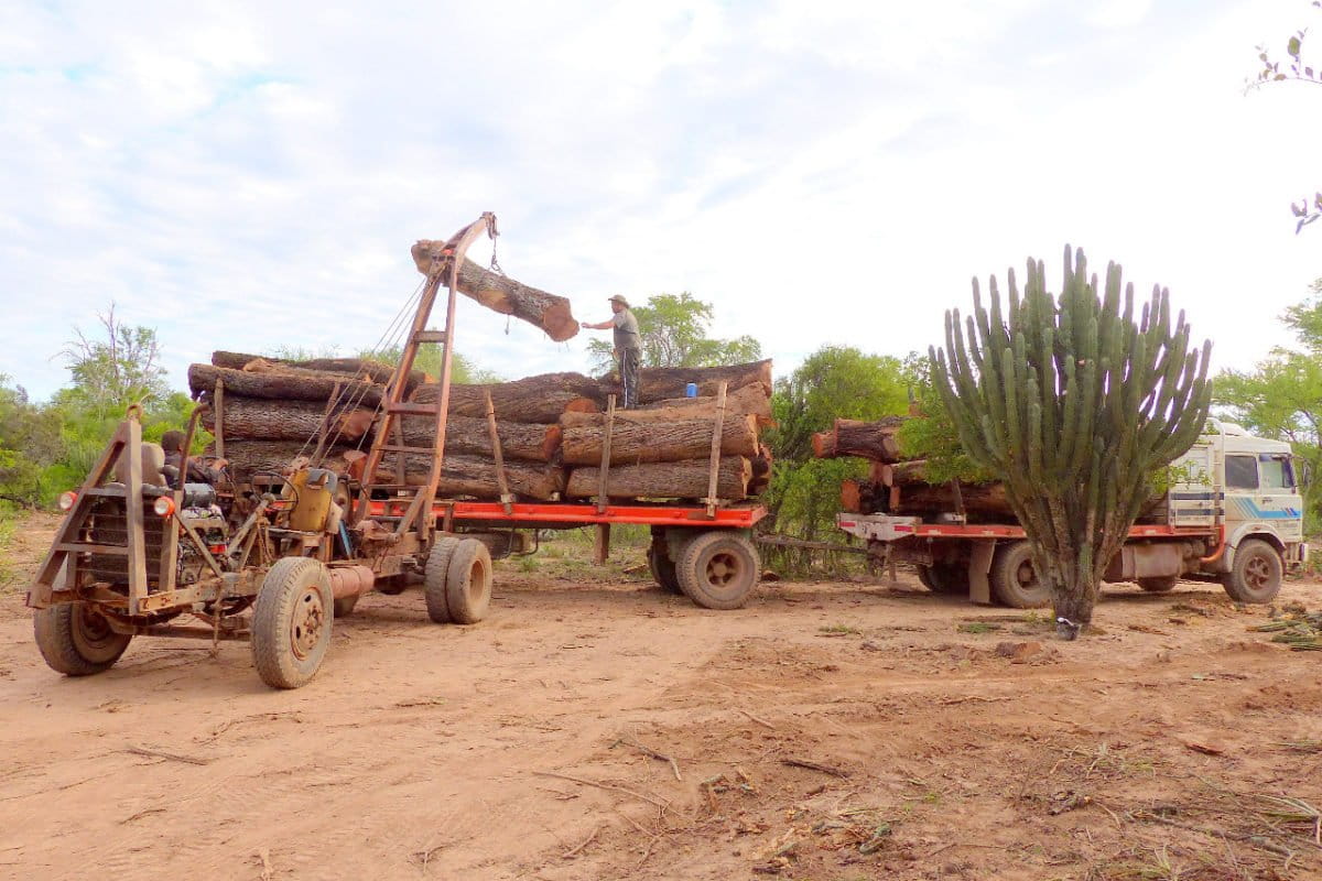 gran chaco argentina