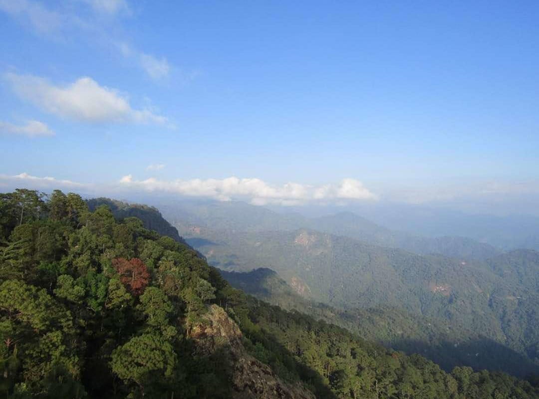 Ejido Cordón Grande, manejo forestal en Guerrero