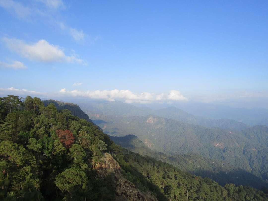 Ejido Cordón Grande, manejo forestal en Guerrero