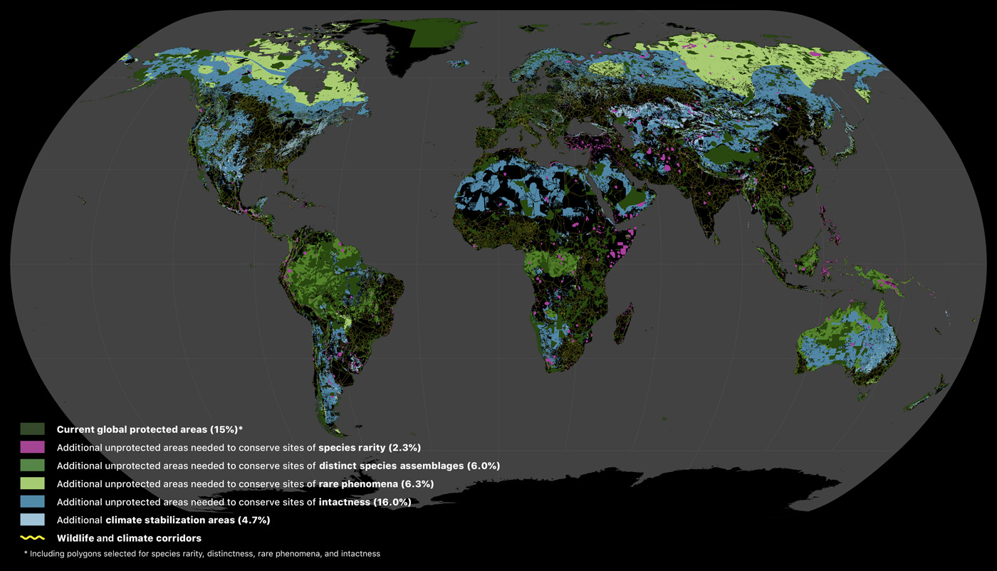 Áreas terrestres donde se necesitan acciones. En rosa, áreas para preservar especies raras. Fuente: artículo 'Una "red de protección global" para revertir la pérdida de biodiversidad y estabilizar el clima de la Tierra'.