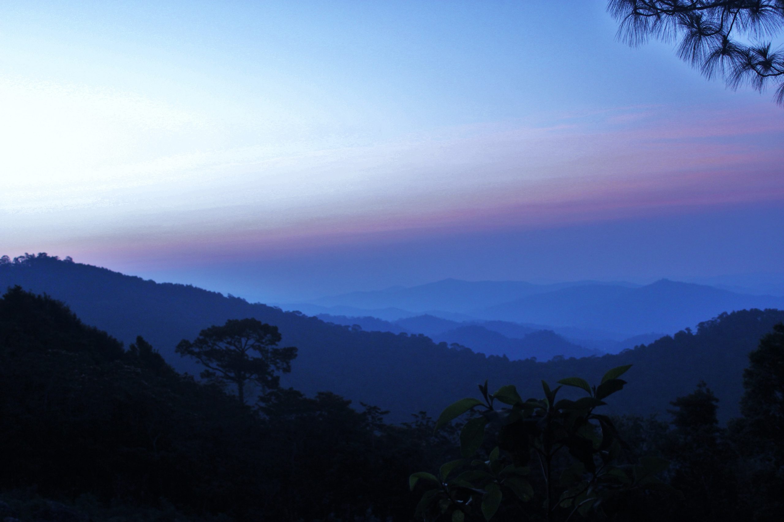 Bosque de San Juan Lachao, Oaxaca