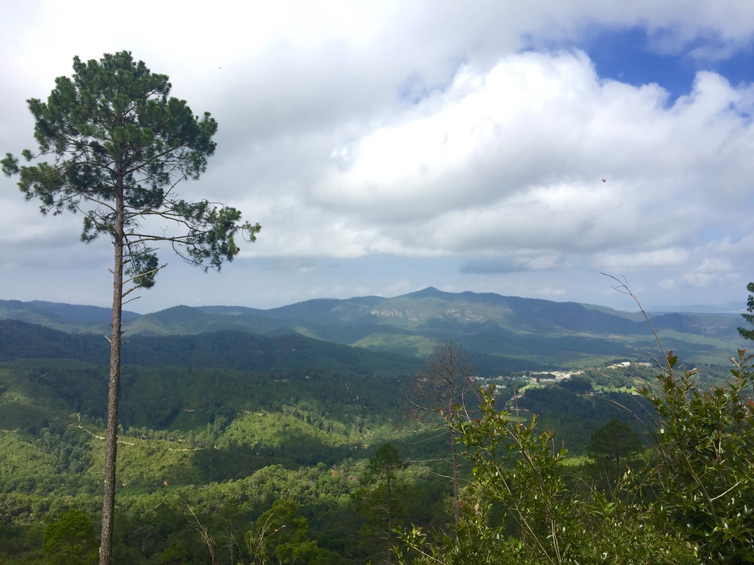 Ejido La Selva