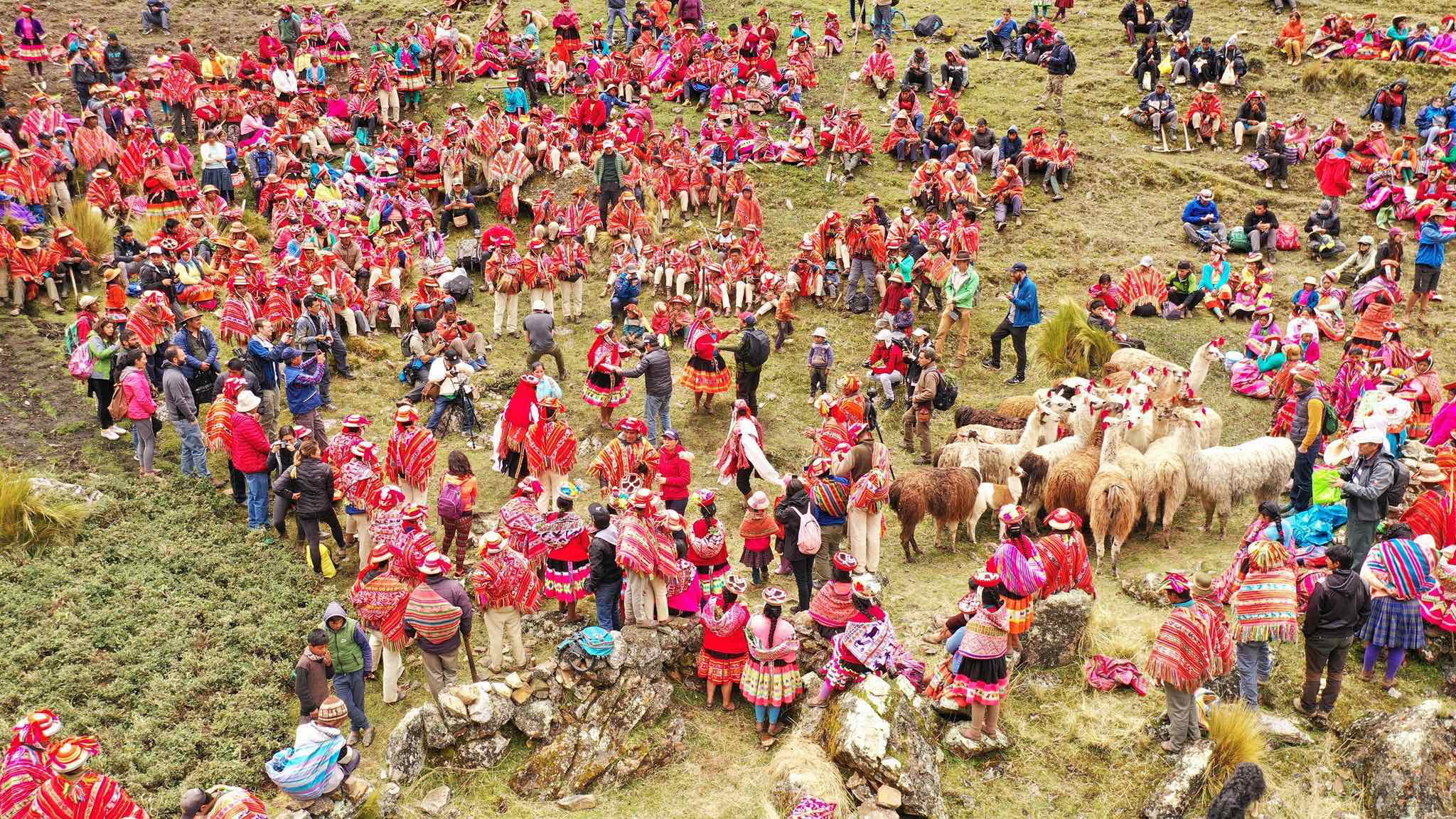 Festival de reforestación