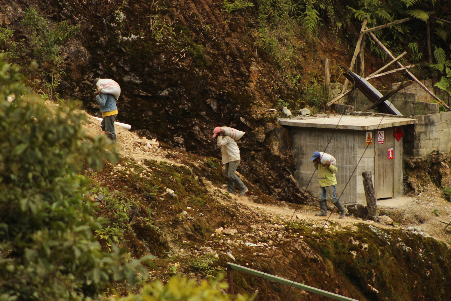 Cordillera del cóndor
