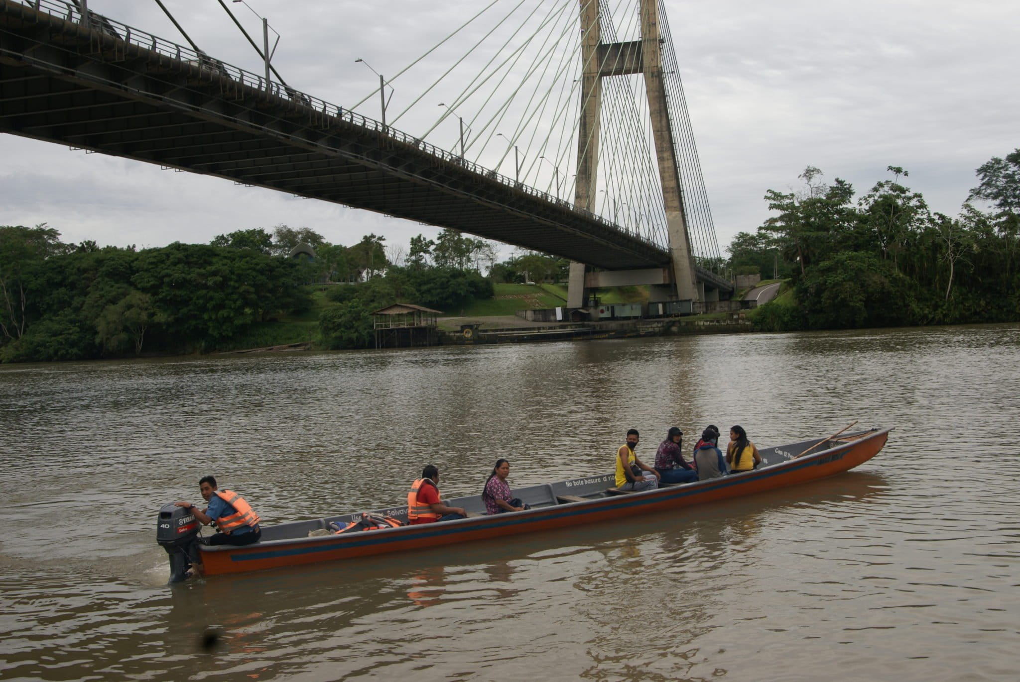 La tilapia una especie invasora que se extiende en Ecuador sin