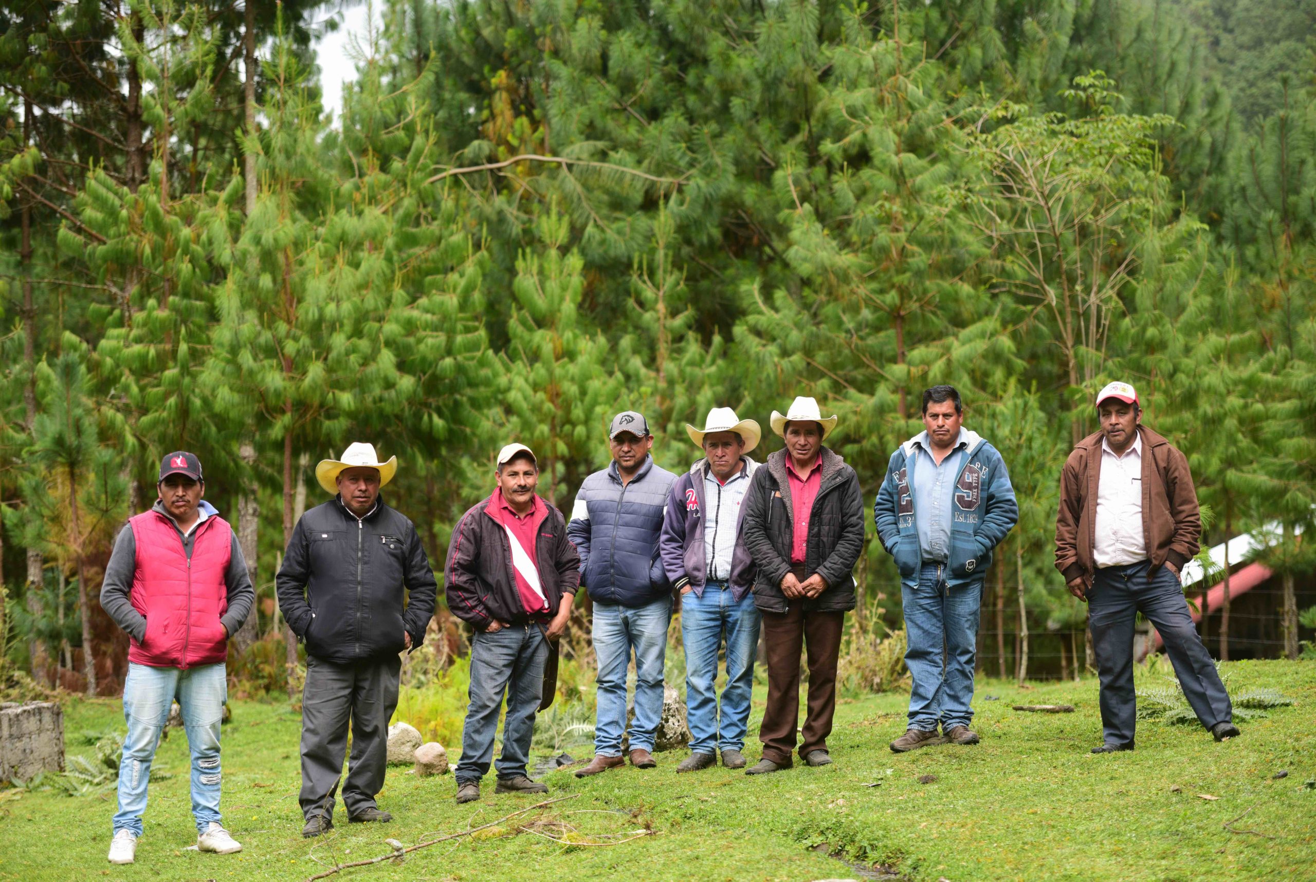 Bosque mexicano