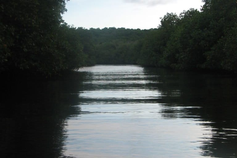 Chamela-Jalisco