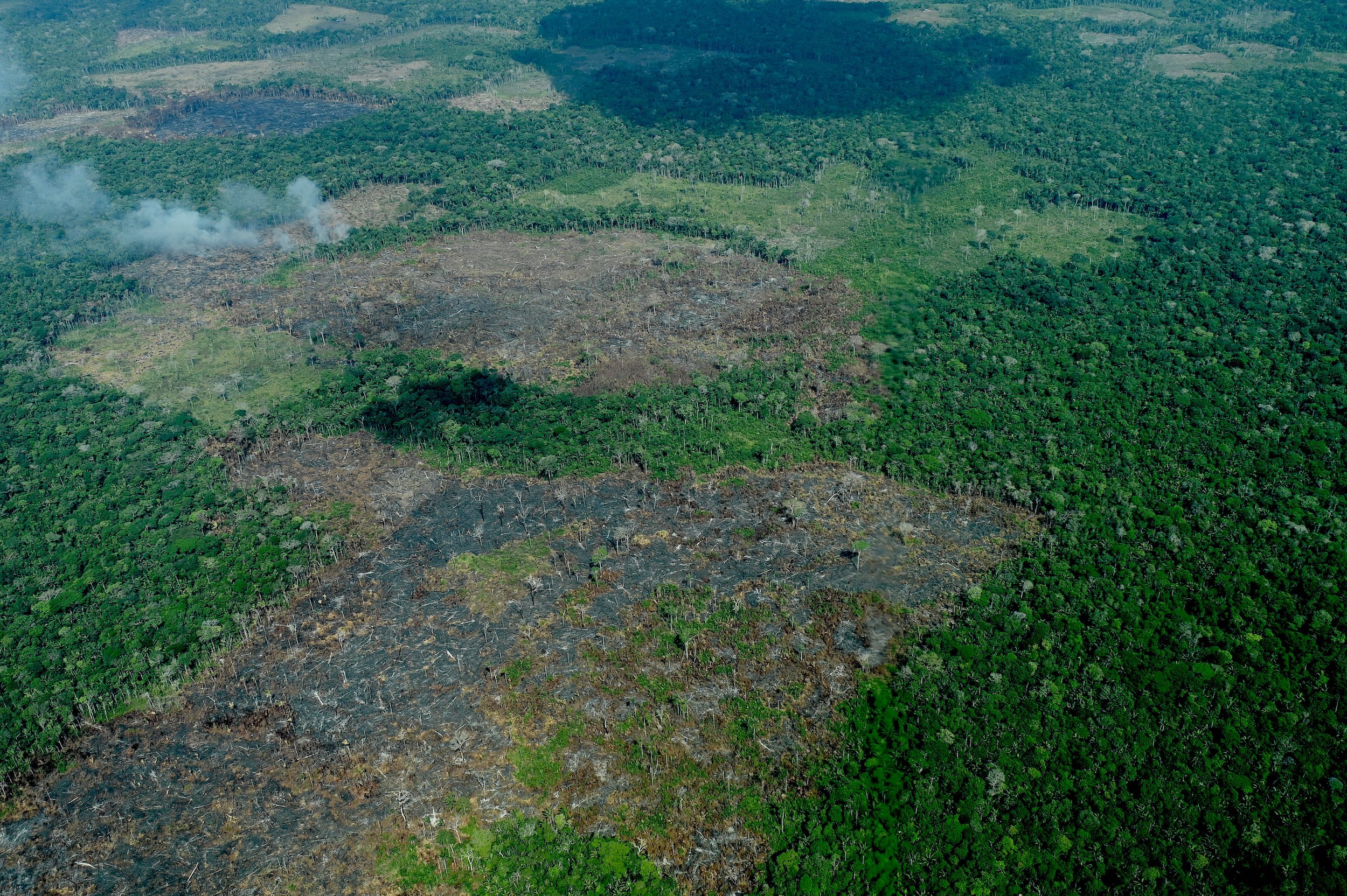 Grandes lotes talados y quemados en enero de 2022 en la Amazonía norte de Colombia. Foto: FCDS.