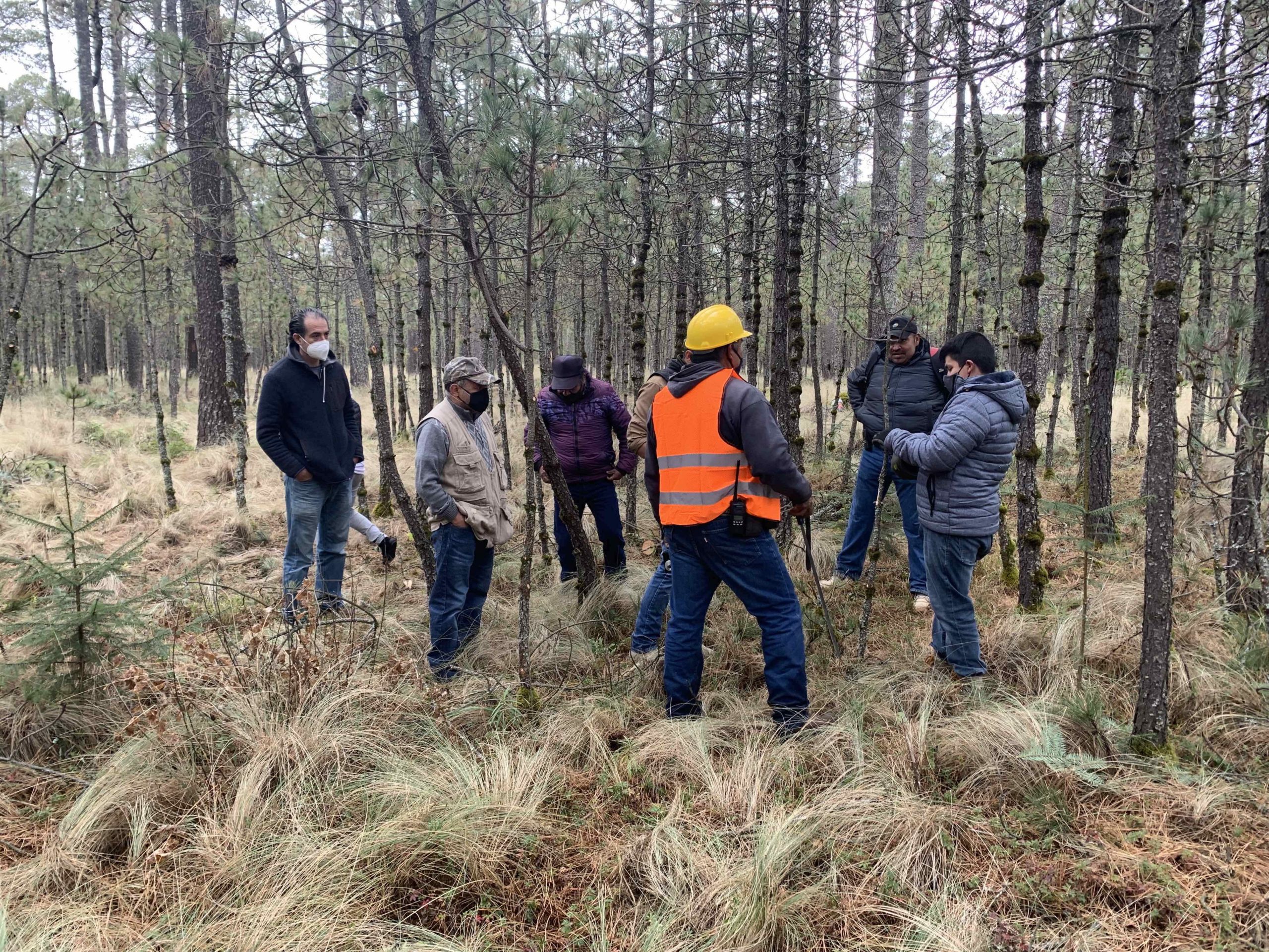Bosques Edomex