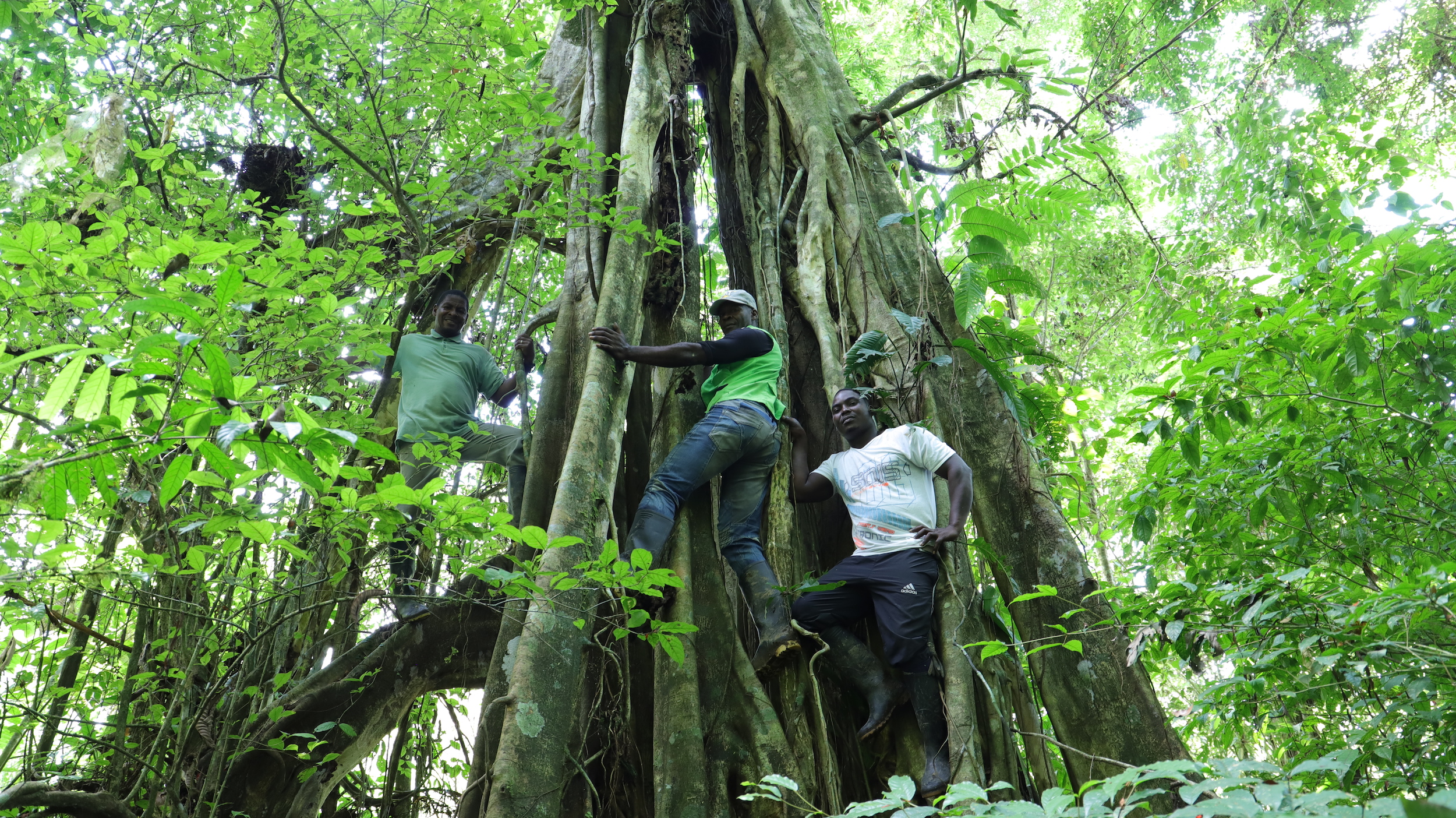 18 comunidades afro y una comunidad indígena emberá katío están generando emprendimientos alternativos a la tala de árboles. Foto: USAID Colombia.