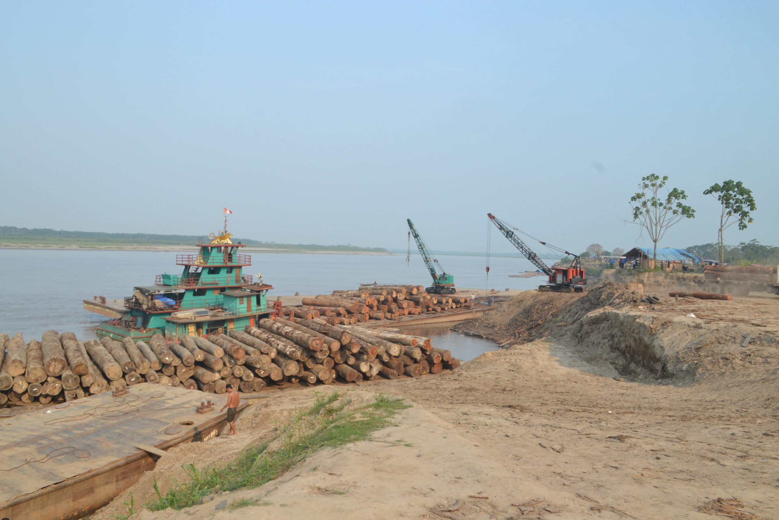 Grandes cantidades de madera se transportan por ríos amazónicos peruanos. Foto: James Bargent.