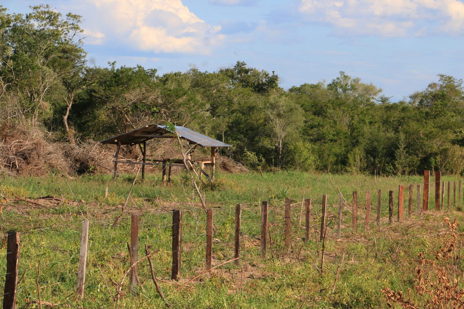 Structures in Ñembi Guasu. Image by Fernando Portugal.