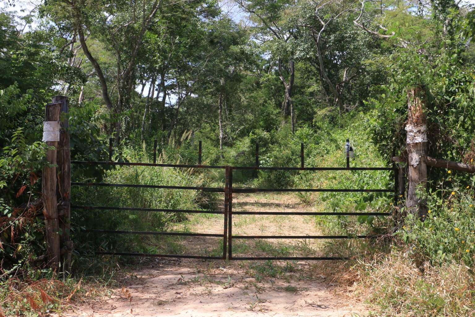 A gate with a padlock marks the entrance to Ñembi Guasu. Image by Fernando Portugal.