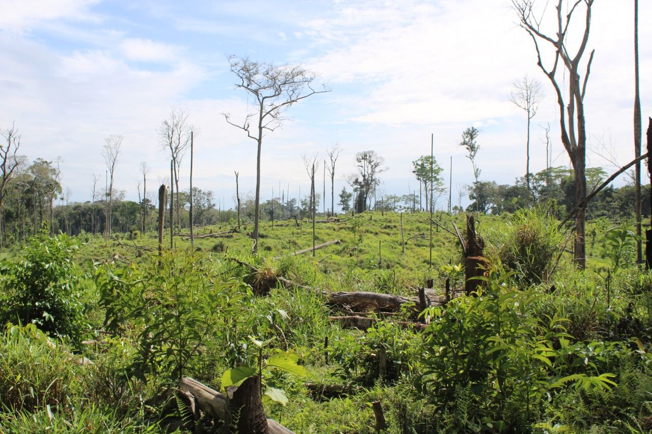 A deforested area of the Santa Rosillo de Yanayacu communal territory. Image courtesy of the Santa Rosillo de Yanayacu community patrol.