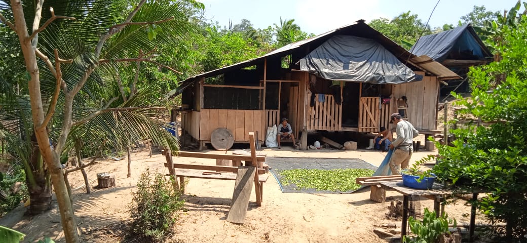 Members of the Indigenous community of Puerto Nuevo found residential structures and coca crops in their territory. Image courtesy of Puerto Nuevo.