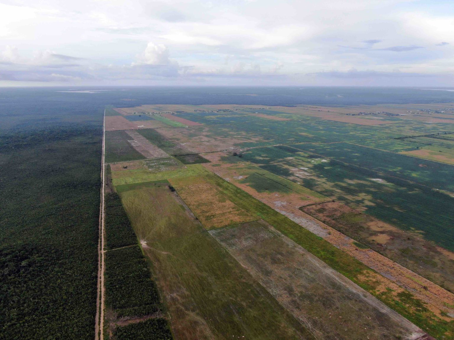 Crop fields that belong to Mennonite communities in the Salamanca ejido. Image by Robin Canul.