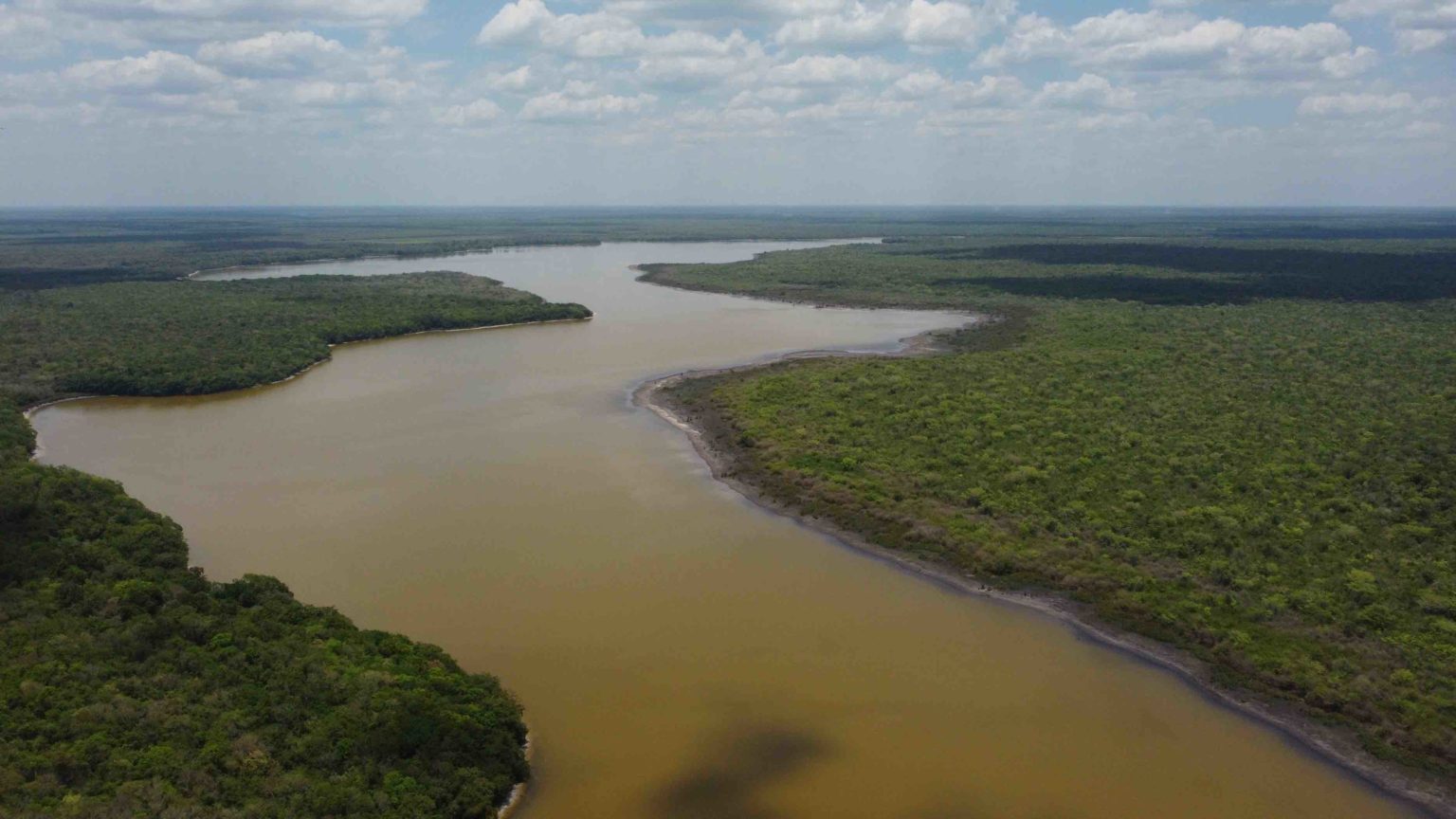 The San Felipe Bacalar experimental forestry field. Image by Robin Canul.