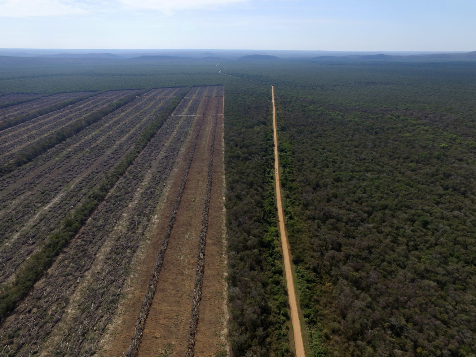 An industrial crop field expands near Lomerío Indigenous Territory. Image by Edwin Caballero.