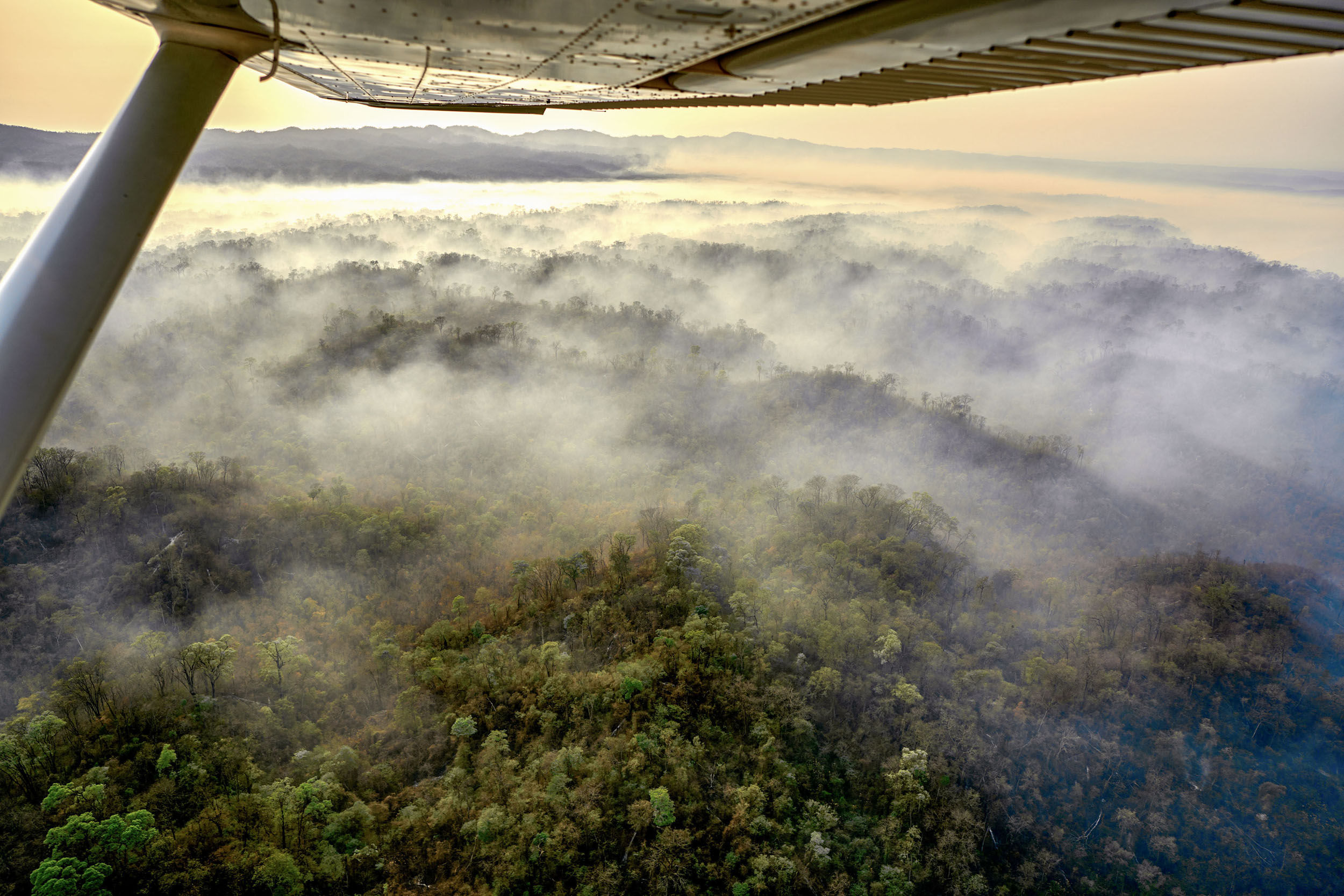 Forest fires destroyed some 95,000 hectares of Chaco forest in the province of Salta. Image courtesy of Greenpeace.