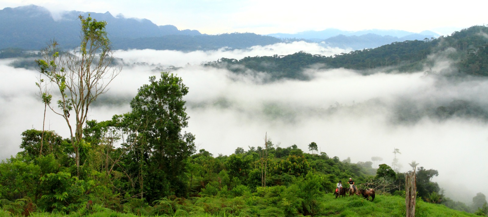La Mosquitia guarda el mayor reservorio de agua de Honduras.